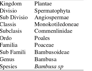 Tabel 2.3. Klasifikasi tanaman bambu (Krisdianto dkk, 2000). 