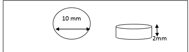 Gambar 2. Bentuk dan ukuran sampel 