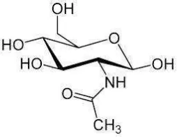 Gambar 7. Struktur glukosamin (Anonim, 2013) 