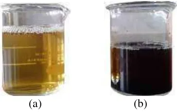 Gambar 24.(a)Filtrat sebelum dan (b)filtrat sesudah diuji dengan (NH4)2C2O4 