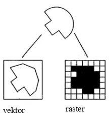 Gambar 4  Jenis data spasial dalam analisis keruangan (Martin 1991)   