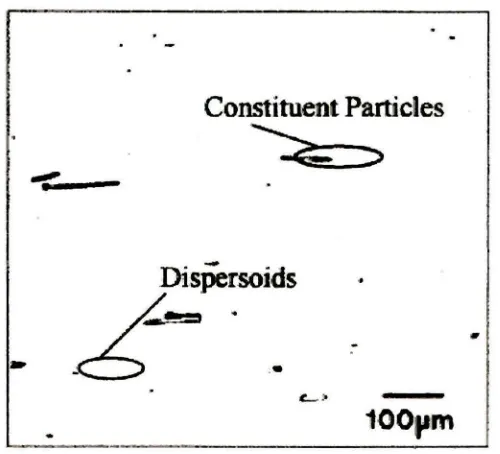 Figure 2.3 Constituent particles and dispersoids structure [3] 