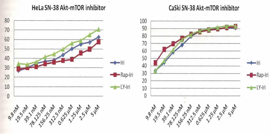 Fig. 5 Akt-Mtor5n-38;Cells Treated
