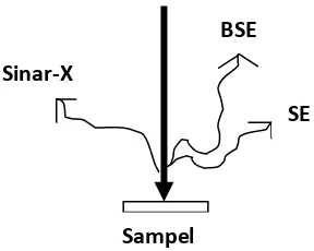 Gambar 2.4 Skema Interaksi Antara Pancaran Elektron dan Sampel (Reed, 1993). 