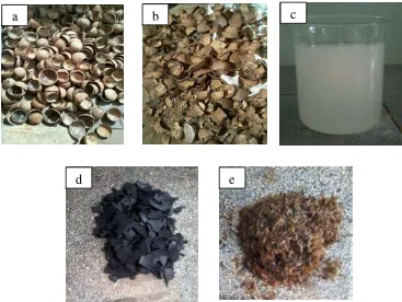 Gambar 4.1  Bahan yang digunakan dalam sintesis Na2CO3,(a)Tempurung  kelapa Kering (b) Tempurung Kelapa yang telah dipecah (c) Larutan NaOH (d) Arang aktif (e)Ekstraksi sekam padi