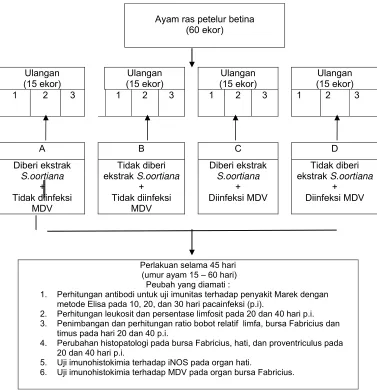 Gambar 6   Diagram alir penelitian 
