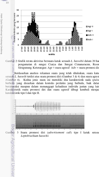 Gambar 2 Grafik rerata aktivitas bersuara katak serasah L. hasseltii dalam 20 hari 