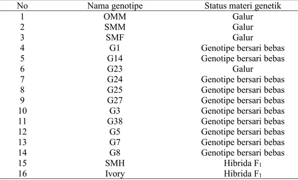 Tabel 1 Daftar genotipe yang diuji