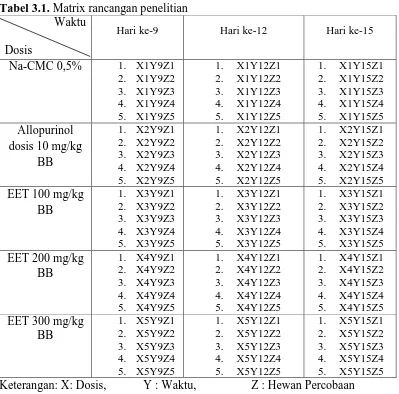 Tabel 3.1. Matrix rancangan penelitian Waktu 