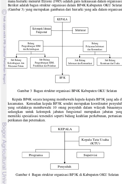 Gambar 3  Bagan struktur organisasi BP4K Kabupaten OKU Selatan 