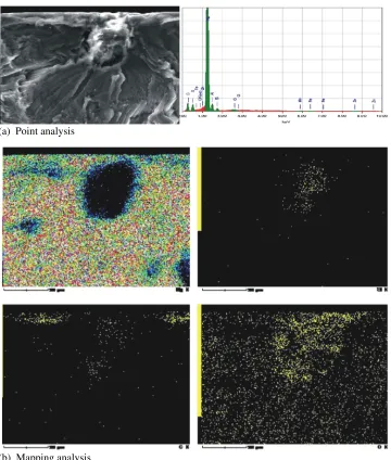 Fig 8: EDX point and mapping analysis from the fracture surface of the foreign particle