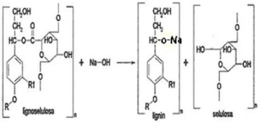 Gambar 2.3 Reaksi Pemutusan Ikatan Lignoselulosa Menggunakan NaOH [6] 