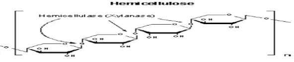 Gambar 2.3 Struktur molekul selulosa 