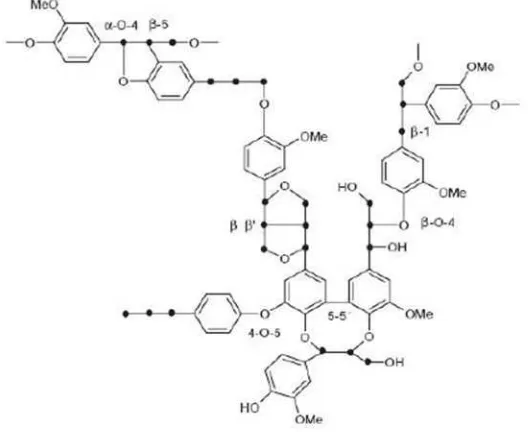 Gambar 2.5 Struktur molekul lignin 