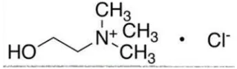 Gambar 2.6 Struktur kolin klorida 