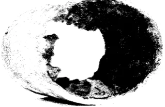 Figure 1.1 : Corrosion in the internal pipeline 