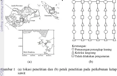 Gambar 1  (a) lokasi penelitian dan (b) petak penelitian pada perkebunan kelapa 