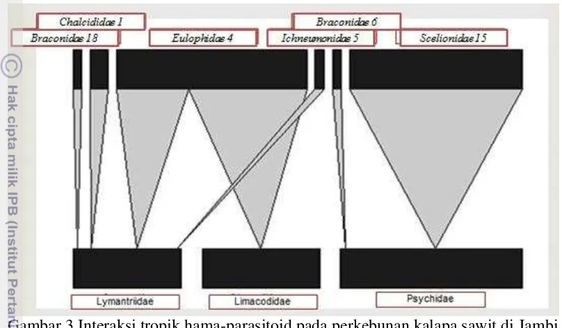 Gambar 3 Interaksi tropik hama-parasitoid pada perkebunan kalapa sawit di Jambi  