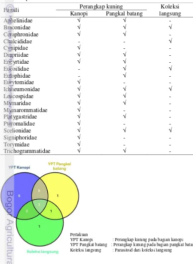 Tabel 6  Keanekaragaman parasitoid pada bagian kanopi dan pangkal batang kelapa sawit di Jambi 