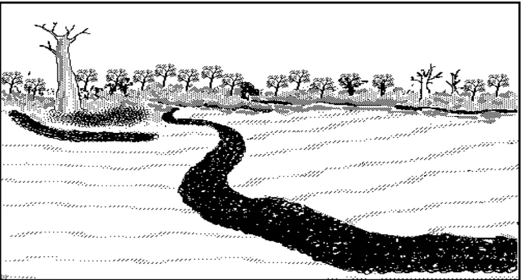 Gambar 4. Modifikasi microcatchment untuk menyalurkan dan menampung runoff  ke lokasi yang ditentukan (Critchley, 1991) 