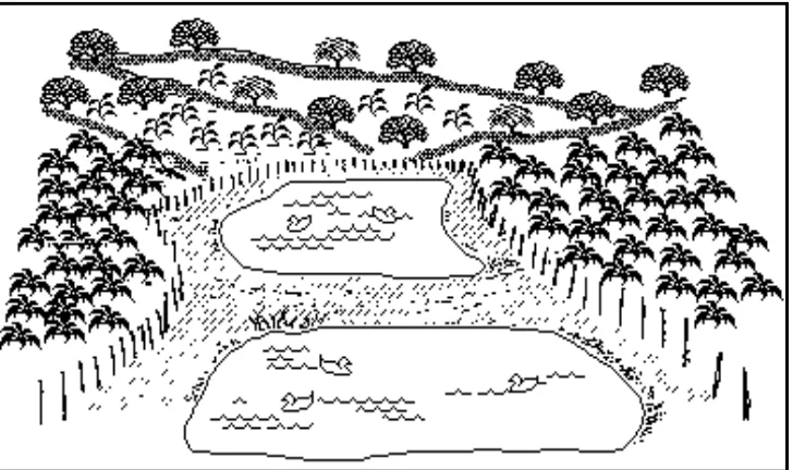 Gambar 5. Kolam penampung air hujan untuk mendukung diversifikasi pertanian (Critchley, 1991) 
