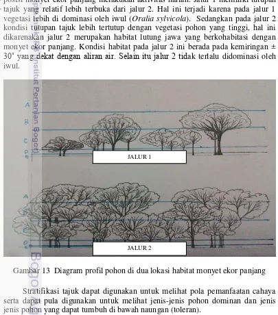 Gambar 13  Diagram profil pohon di dua lokasi habitat monyet ekor panjang 