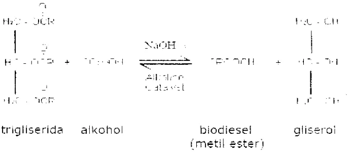 Gambar 1. Reaksi transesterifikasi pada pembuatan biodiesel 