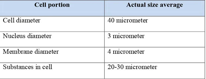 Table 2.1 Human Skin Cell size from NIGMS 