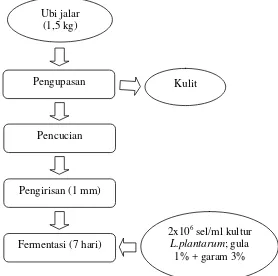 Gambar 5. Diagram alir proses fermentasi kultur murni (L.plantarum) ubi jalar Sumber : Yuliana dan Nurdjanah (2009) yang dimodifikasi 