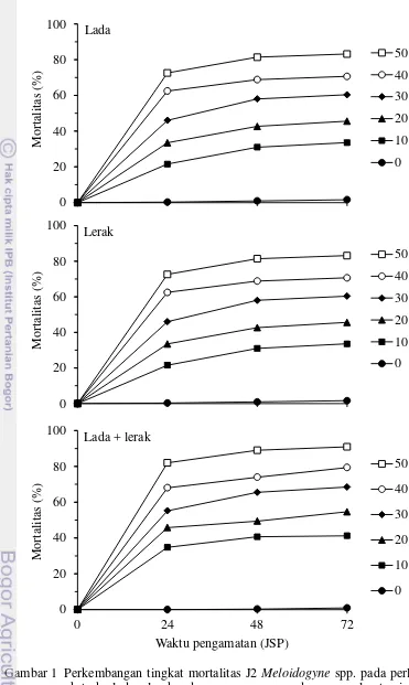 Gambar 1   Perkembangan tingkat mortalitas J2 Meloidogyne spp. pada perlakuan ekstrak lada, lerak, dan campurannya dengan pelarut air pada pengamatan 24–72 JSP