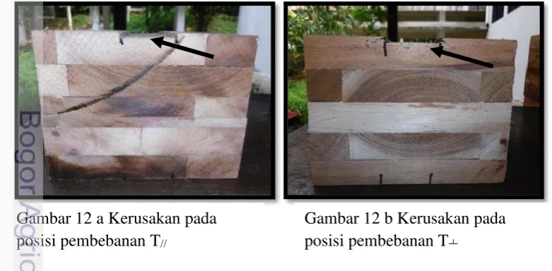 Gambar 12.  
