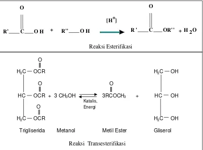 Gambar 2. Reaksi Esterifikasi dan Transesterifikasi 