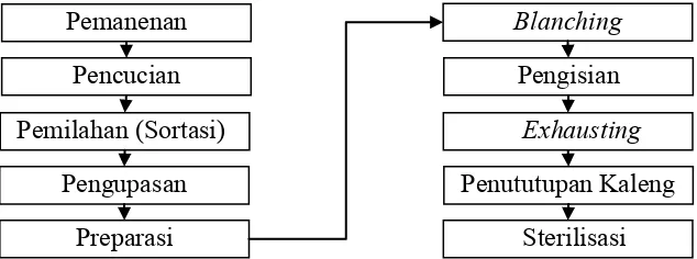 Gambar 1 Tahapan proses pengalengan nanas (Pujimulyani  2009) 