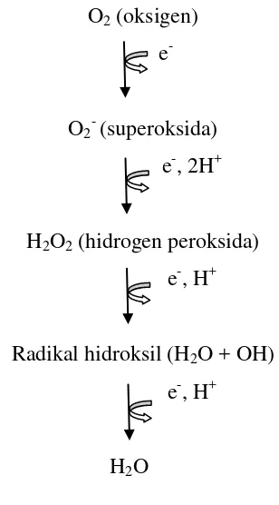 Gambar 8. Reduksi oksigen (Sumber: Smith et al., 2005). 