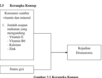 Gambar 2.1 Kerangka Konsep 