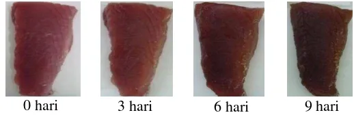 Gambar 6 Perubahan warna daging tuna bagian punggung 