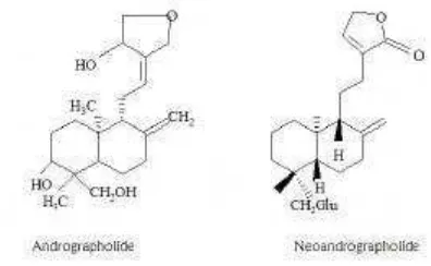 Gambar 4 Struktur kimia andrographolide dan neoandrographolide (Trieste 2007)  