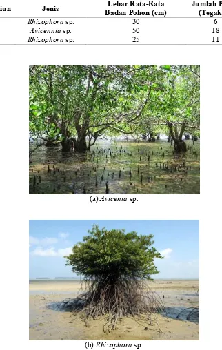 Tabel 4. Jenis, Lebar Rata-Rata Badan Pohon dan Jumlah Tegakan Mangrove