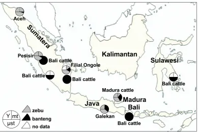 Figure 1.and gray shading of the indicated circle segments.  mitochondrial DNA (mt) and autosomal microsatellite alleles (The species origin of the paternally transmitted Y-chromosomes (Y), maternally transmitted  Locations of sampling and genetic constitu