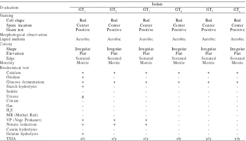 Table 1  Isolation and selection of Baccillus from the litter of swampy forest Pesisir Selatan (GT)