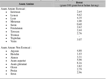 Tabel 2  Asam-asam amino yang terkandung pada daging  bekicot   
