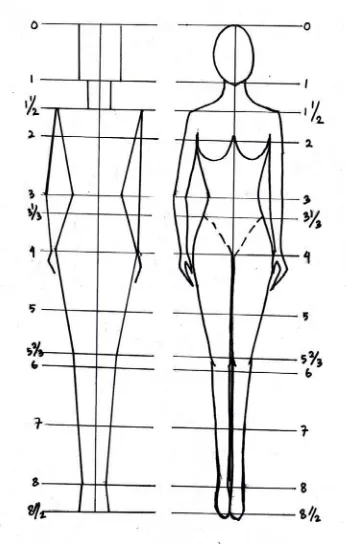 Gambar 1.Perbandingan tubuh wanita 