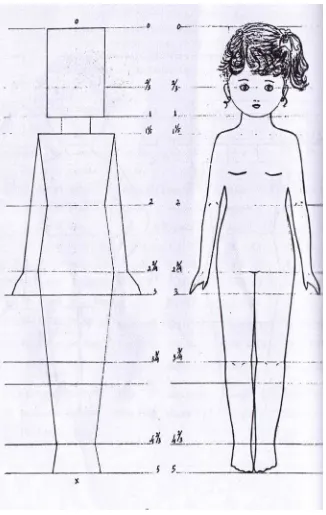 Gambar 4.Perbandingan tubuh anak usia 4-6 tahun 