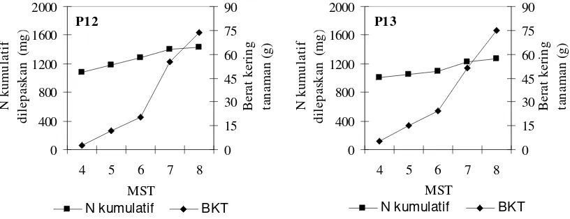 Gambar 1.  Kurva N mineral kumulatif yang selaras (A), dan tidak selaras (B) dengan     model serapan N jagung 