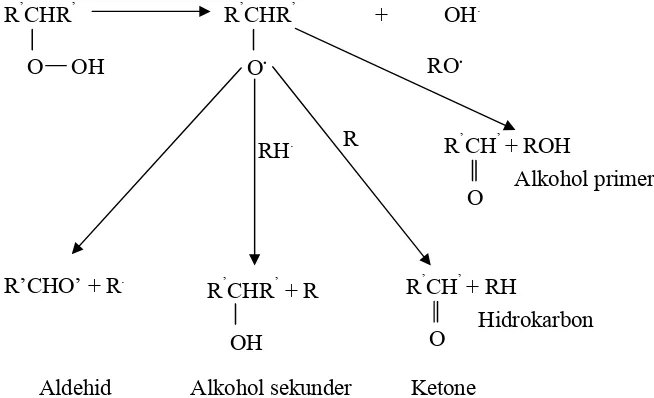 Gambar 9. Reaksi pemecahan hidroperoksida lemak.  (Gillatt, 2001)  