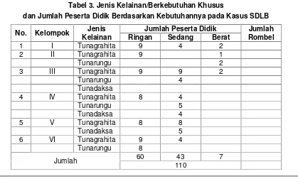 Tabel 3. Jenis Kelainan/Berkebutuhan Khusus