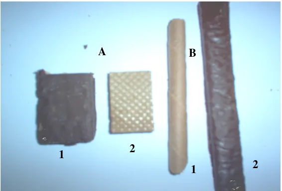 Gambar 1. Jenis-jenis wafer  (A1) flat wafer (coated), (A2) flat wafer (uncoated), (B1) stick wafer (uncoated), (B2) stick wafer (coated) 