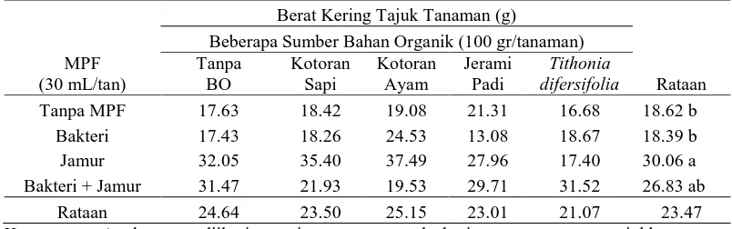Tabel 7.  Rataan total berat kering tajuk tanaman kentang 8 MST (g) aplikasi Mikroba Pelarut Fosfat  dan  sumber bahan organik 