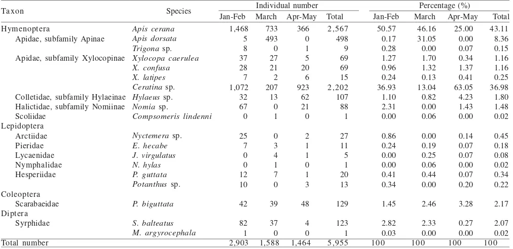 Table 1. Species and individual number of pollinator insects on mustard flowers