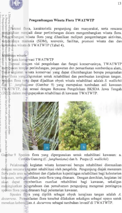 Gambar 9   Spesies flora yang dipergunakan untuk rehabilitasi kawasan: a. 